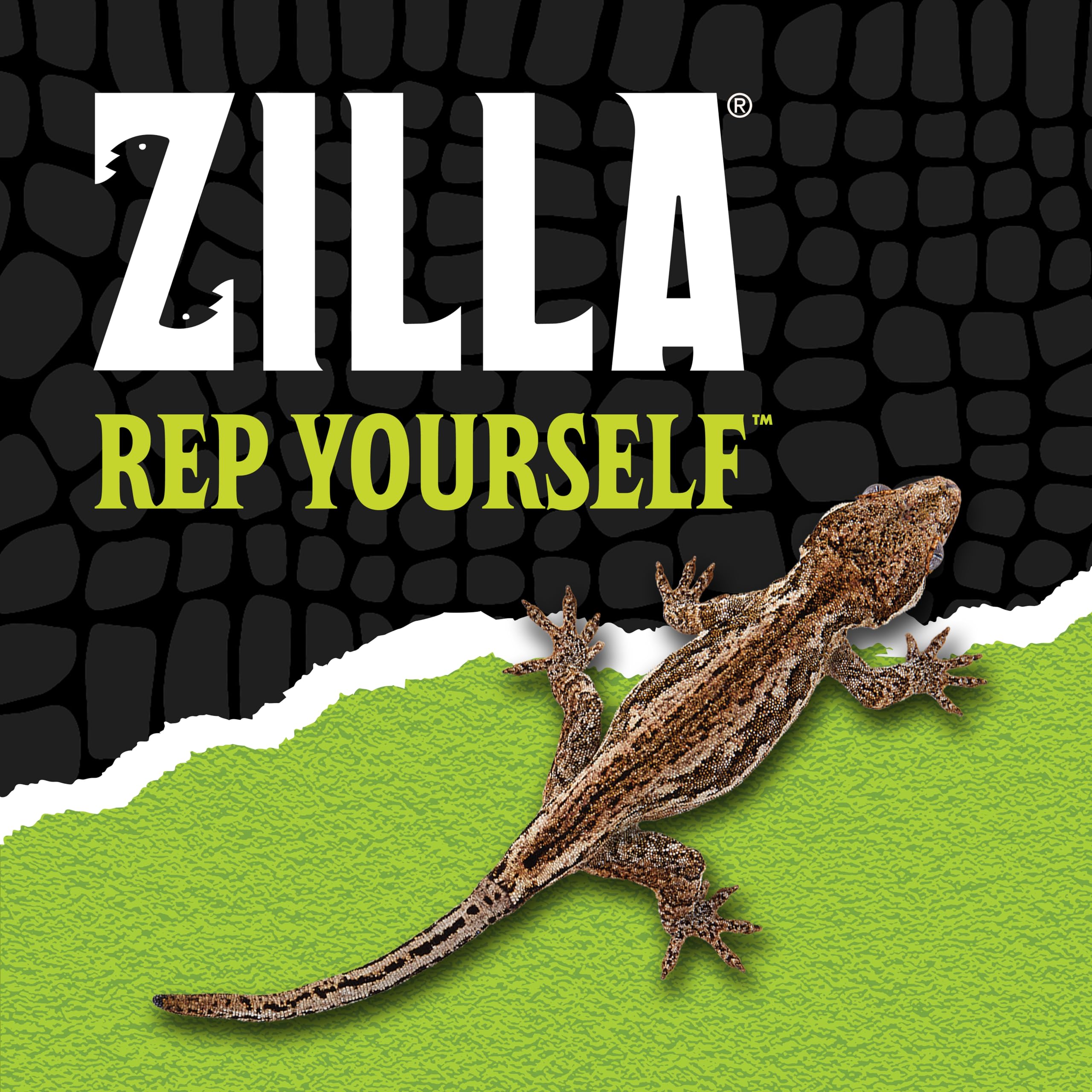 Paneles de vidrio transparentes en Zilla QuickBuild para visualización clara