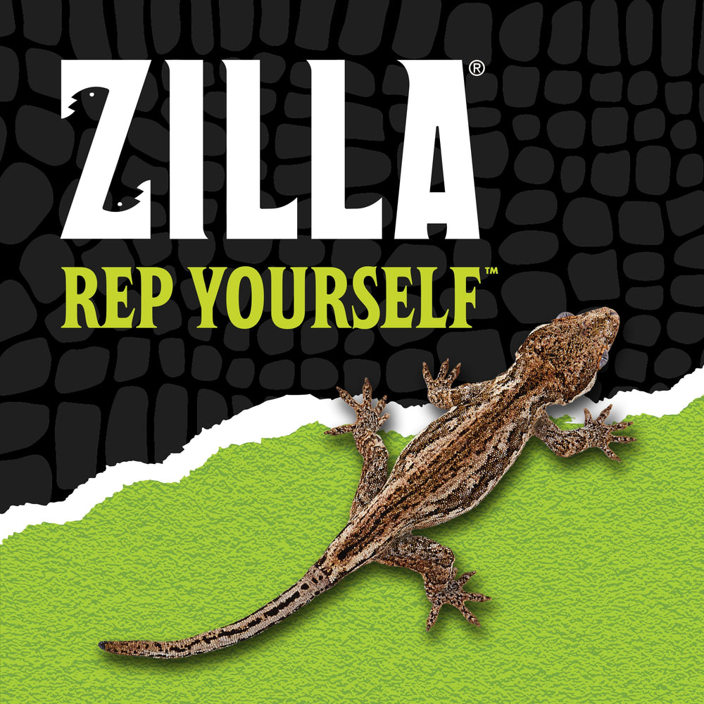 Paneles de vidrio transparentes en Zilla QuickBuild para visualización clara