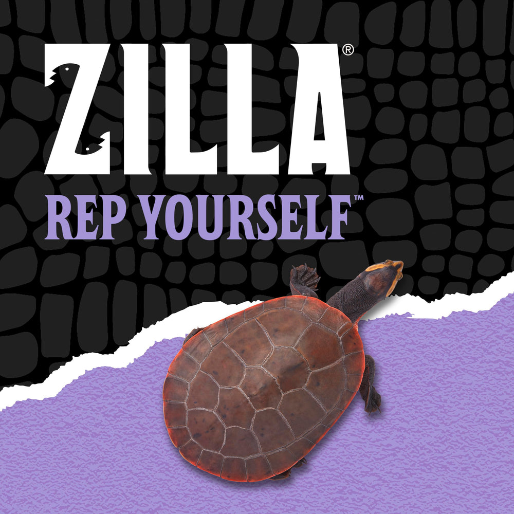Zilla Camarón de Río, alta proteína para dieta variada.