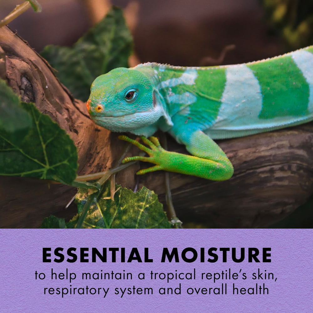 Zilla Tropical Mist aumenta la humedad del terrario para reptiles tropicales