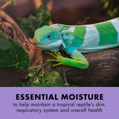 Zilla Tropical Mist aumenta la humedad del terrario para reptiles tropicales
