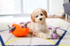 ZippyPaws Burrow: burrow rellenable con Miniz para recargas fáciles