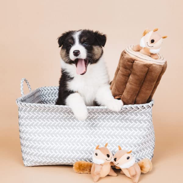 ZippyPaws Burrow para todas las edades, diversión y confort