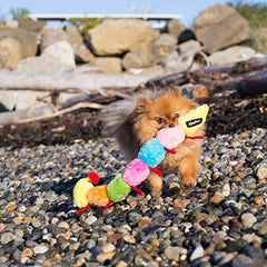ZippyPaws Caterpillar grande – sonajeros redondos para juego interactivo.