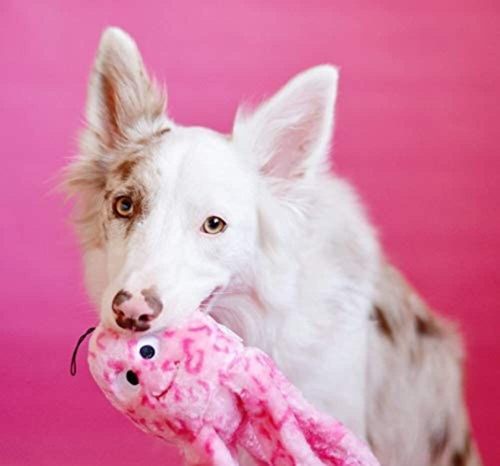 ZippyPaws Gelatina Floja con tentáculos flexibles para juego de tira y afloja.