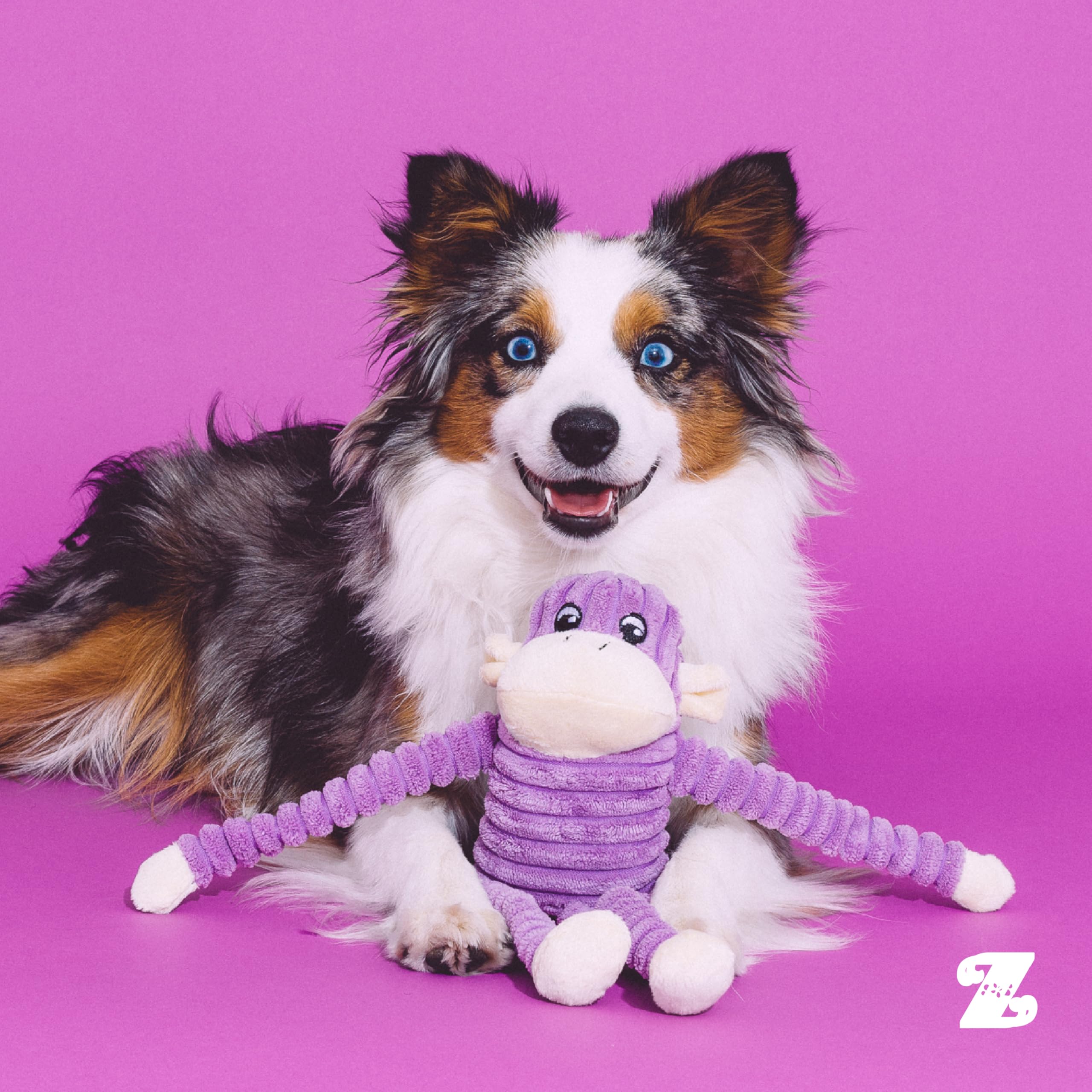 ZippyPaws Mono Crujiente Diseño Atractivo Morado capta la atención durante el descanso