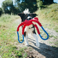 ZippyPaws RopeTugz: chirriador grande para recompensas sonoras durante el juego