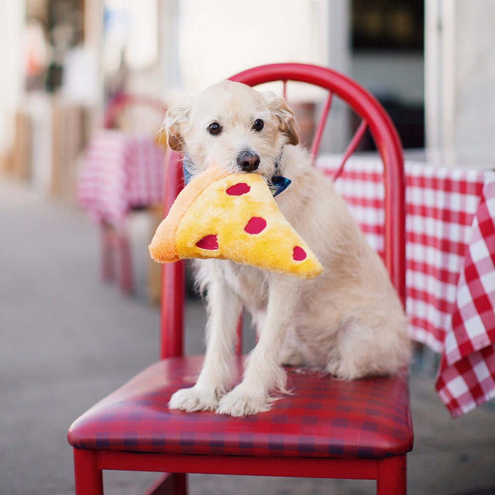 NomNomz Pizza, detalles atractivos que inspiran juego y ternura