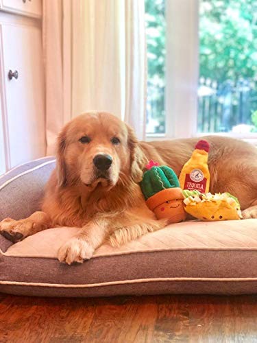 ZippyPaws NomNomz Taco: juguete para perros medianos para interacciones largas