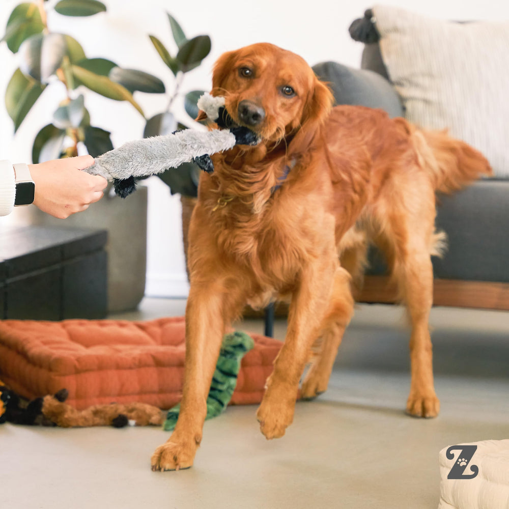 ZippyPaws Skinny Peltz serpientes del desierto: ideal para perros medianos y grandes