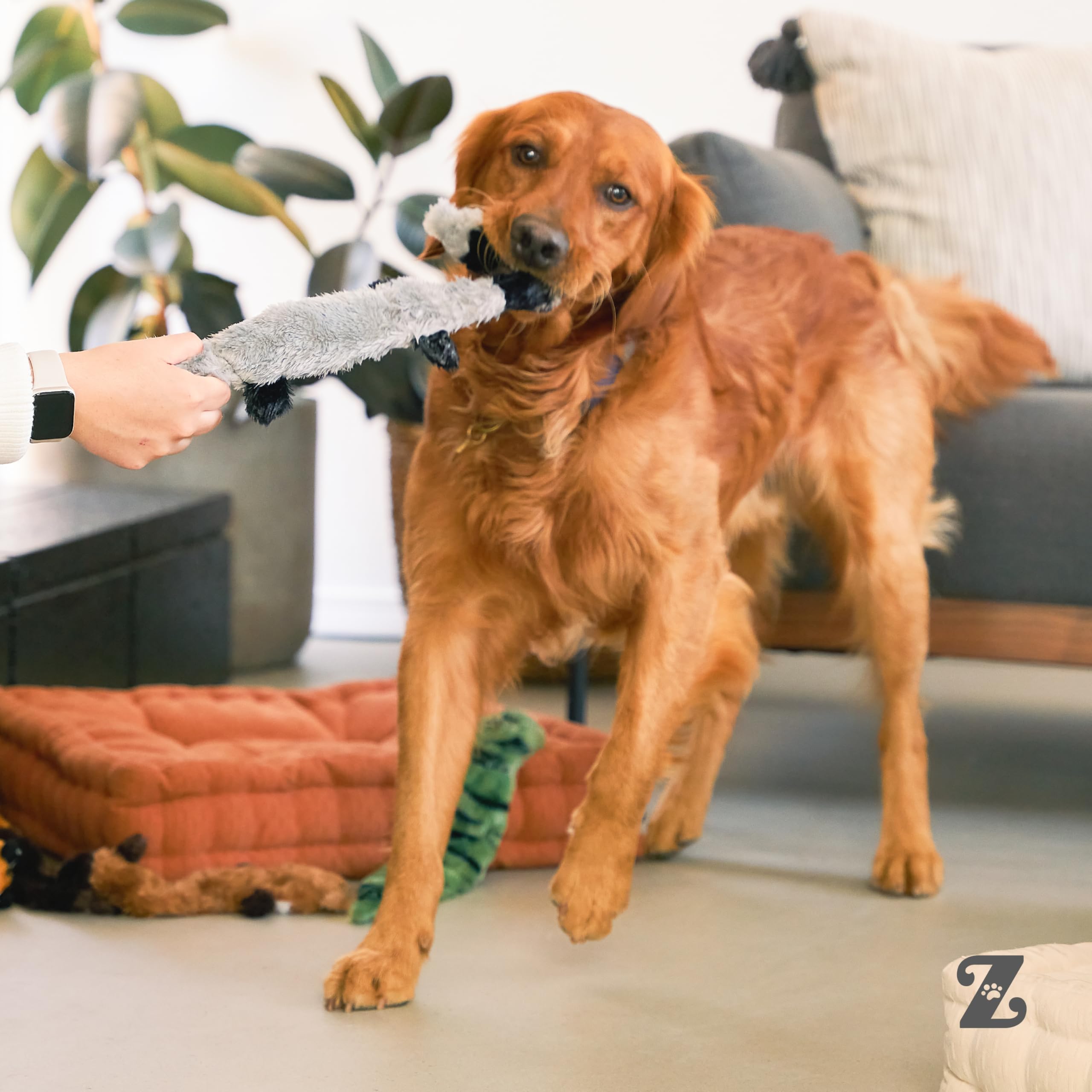 ZippyPaws Skinny Peltz textura suave para perros de todas las edades