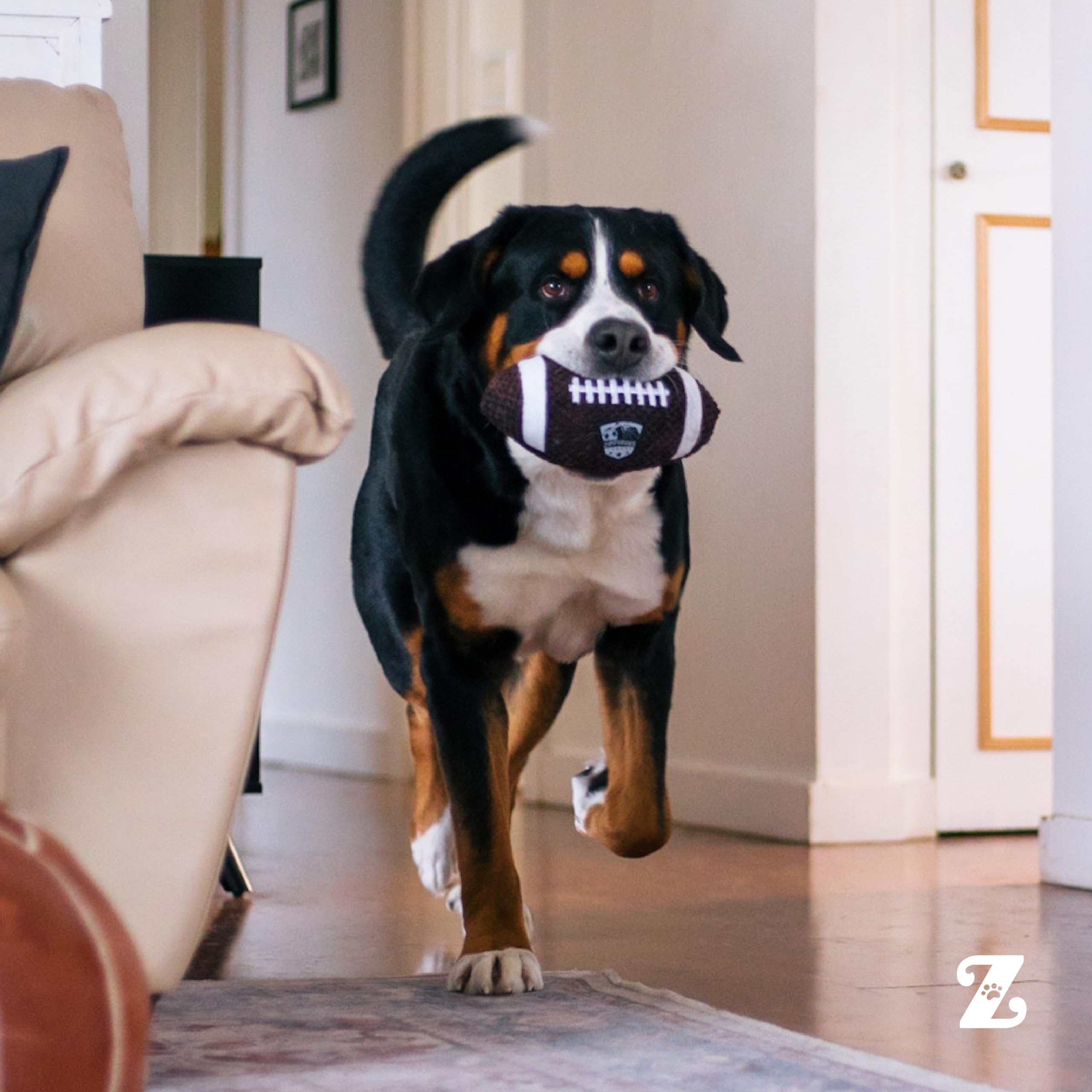 ZippyPaws SportsBallz juego en interior y exterior