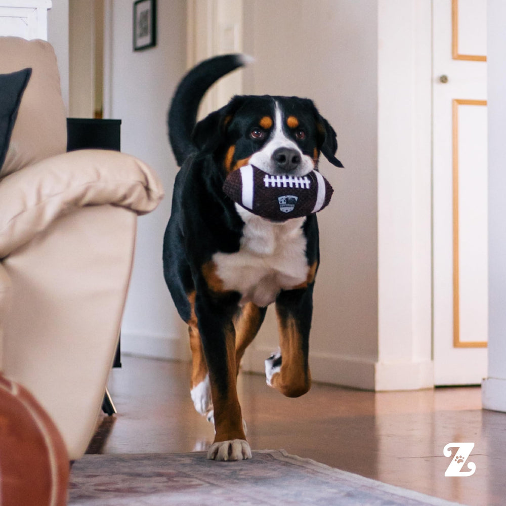 ZippyPaws SportsBallz juego en interior y exterior