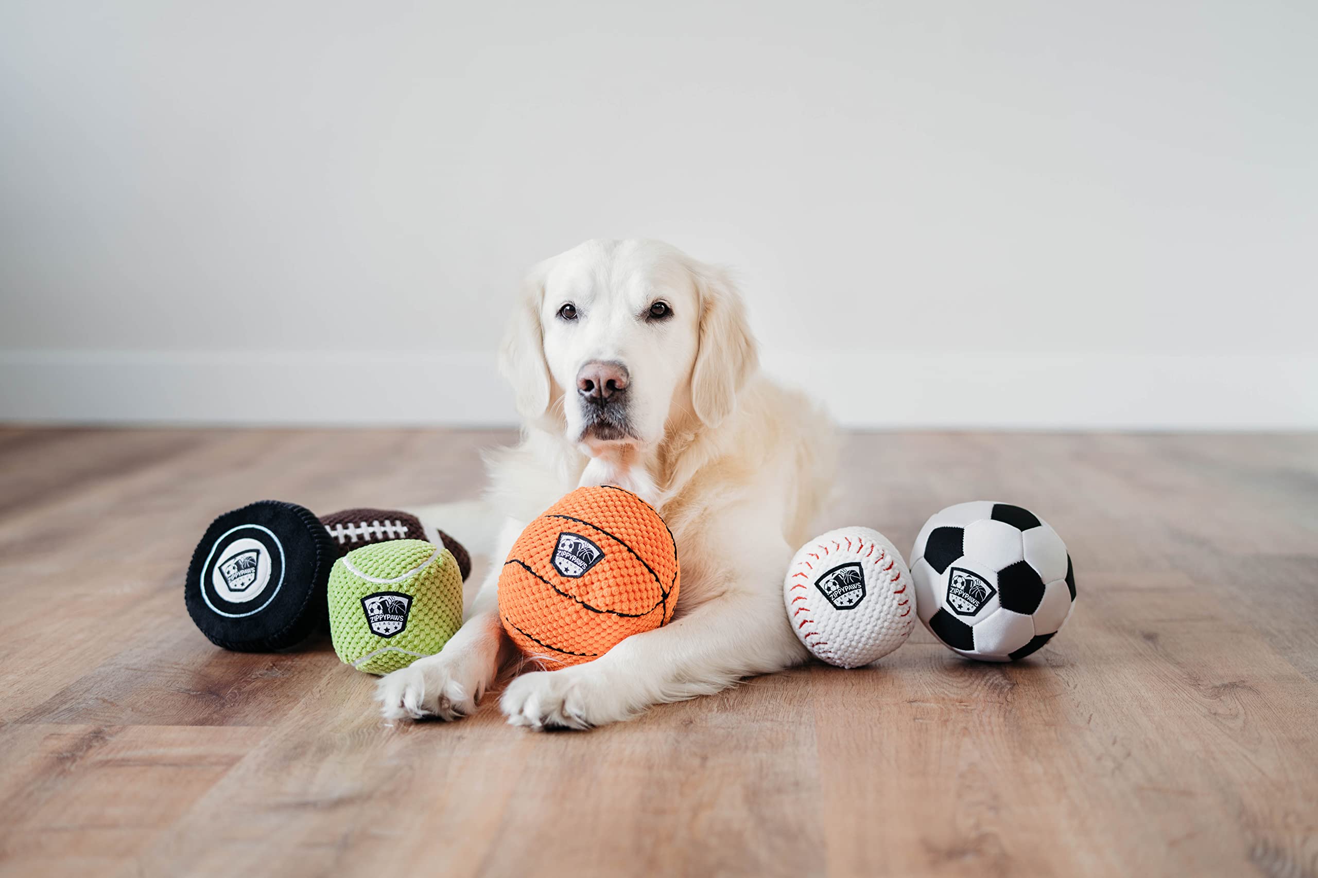 ZippyPaws SportsBallz parche de liga exterior para motivar fantasía deportiva.