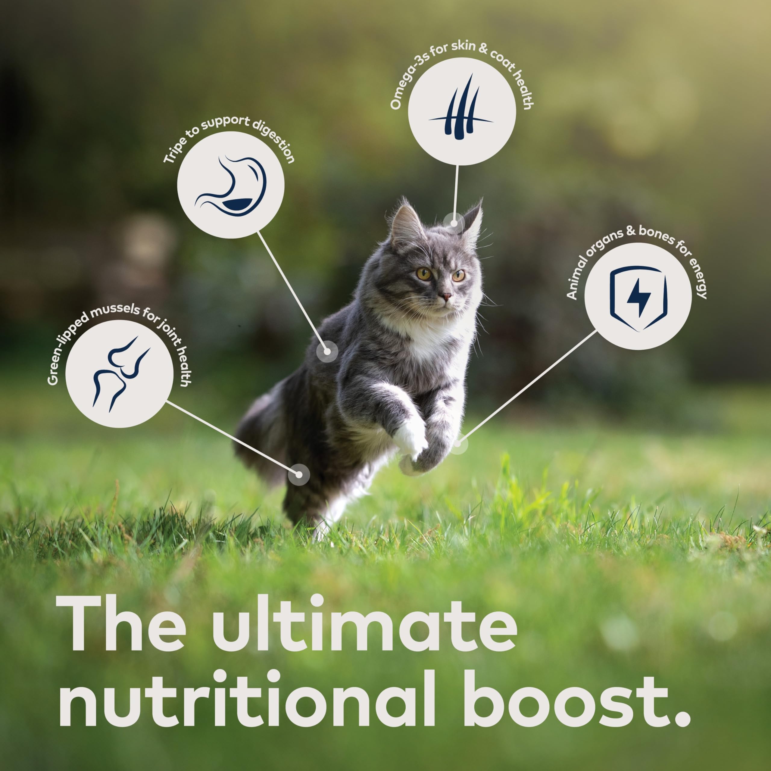 ZIWI Peak envase alimento gato, aspecto limpio y práctico para la despensa.