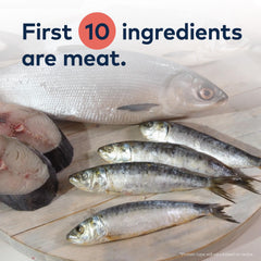 Pescado salvaje merluza austral para Omega-3 y pelaje sano.