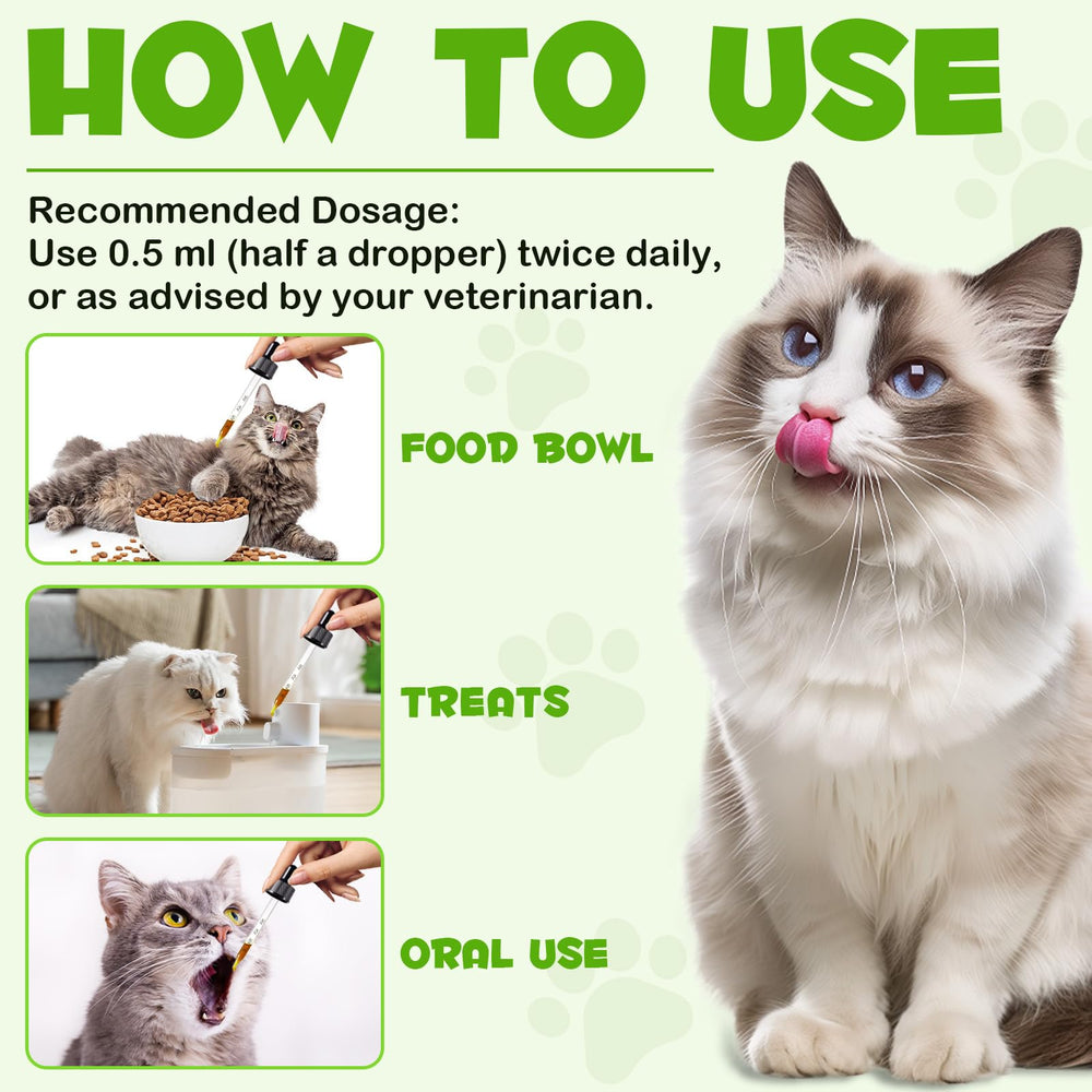ZIXBMHYJ Probiotics para gatos: aplicación directa o con alimento