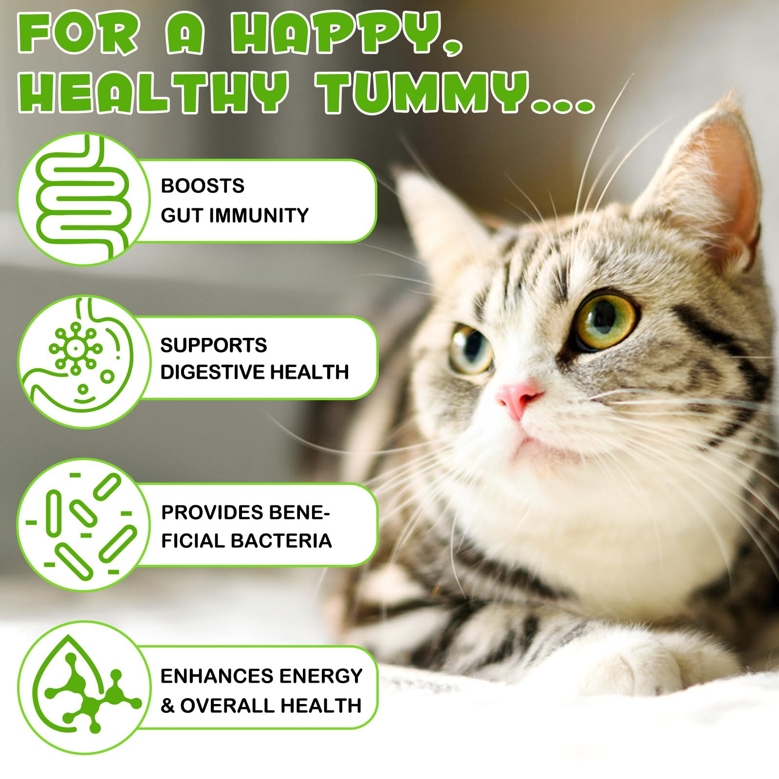 ZIXBMHYJ Probiotics para gatos: apoyo a la inmunidad natural