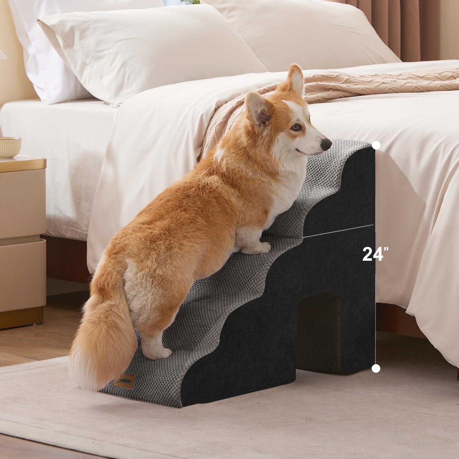 ZOMISIA rampa con túnel para gatos integrado y juego