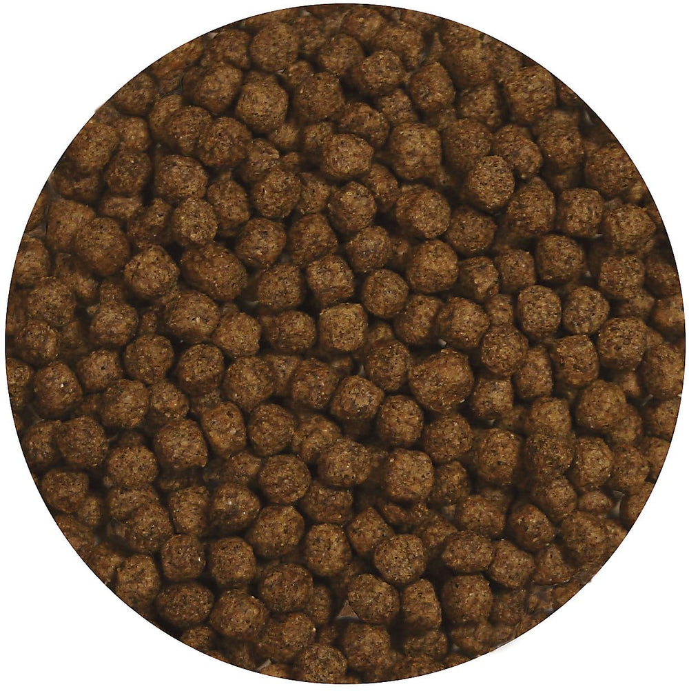 Zoo Med alimento tortugas acuáticas, fórmula de crecimiento para desarrollo saludable.