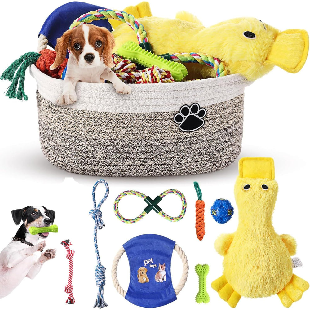 Cesta Zopeal para juguetes de cachorro, orden y acceso fácil.