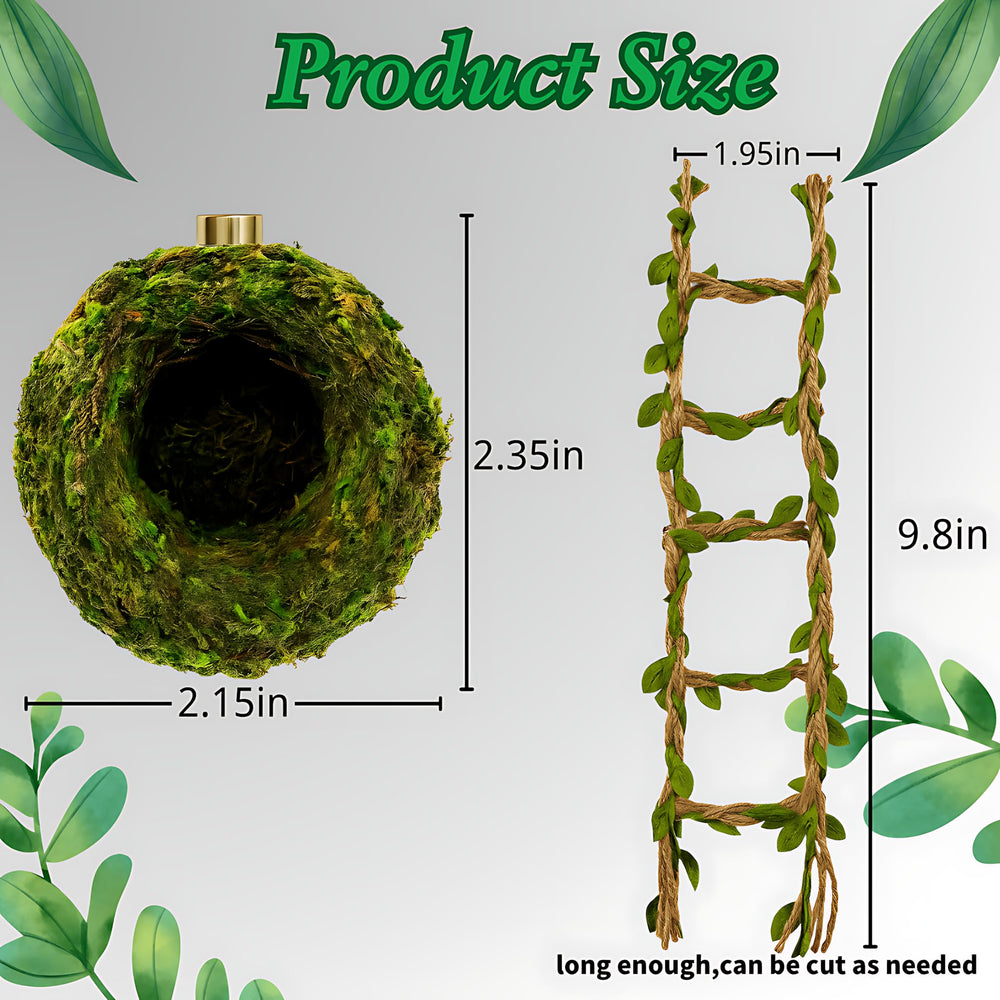 ZREVSB escena verde-terra que mejora la presentación del terrario.