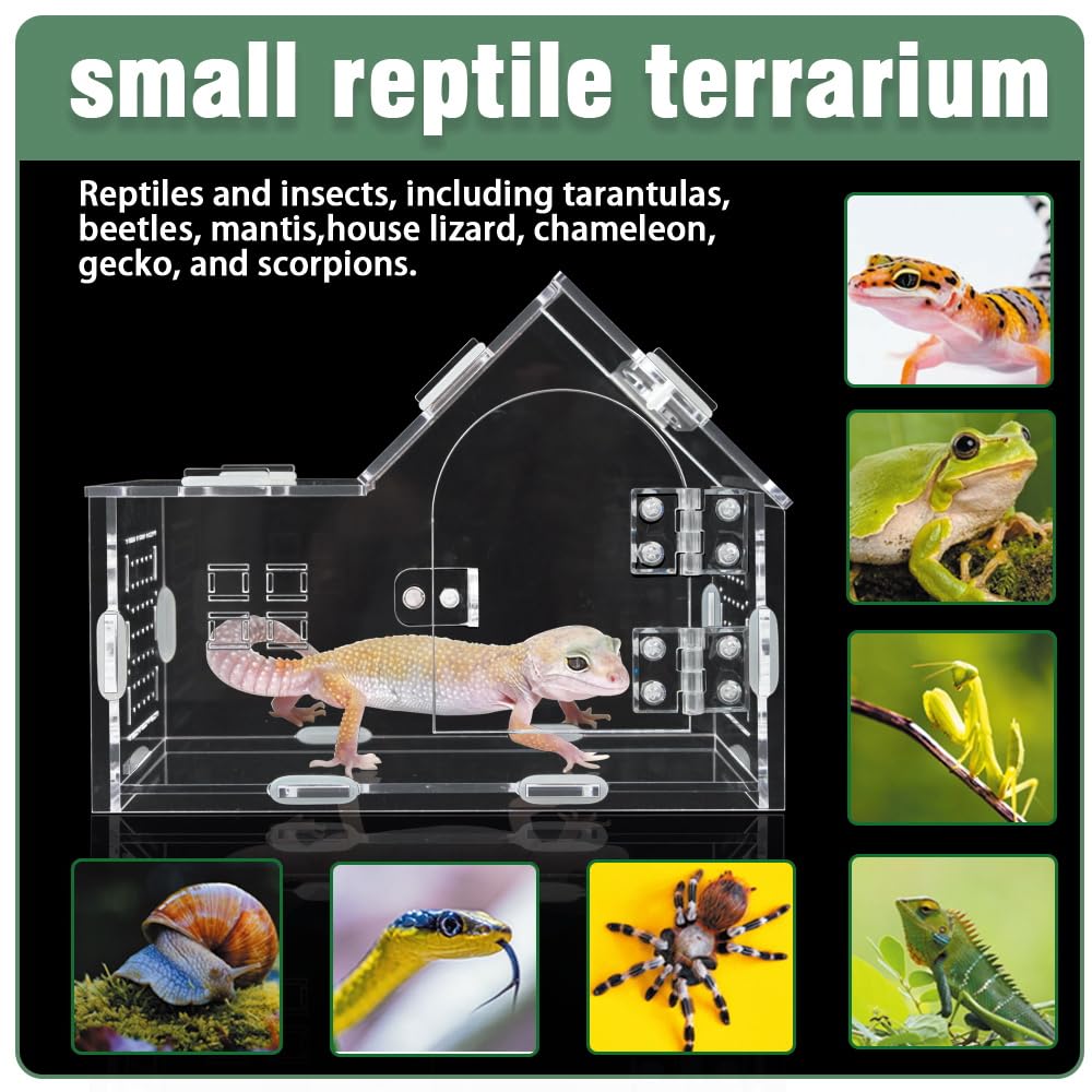 Ventilación integrada de ZUIFIANLE para múltiples especies en terrario compacto