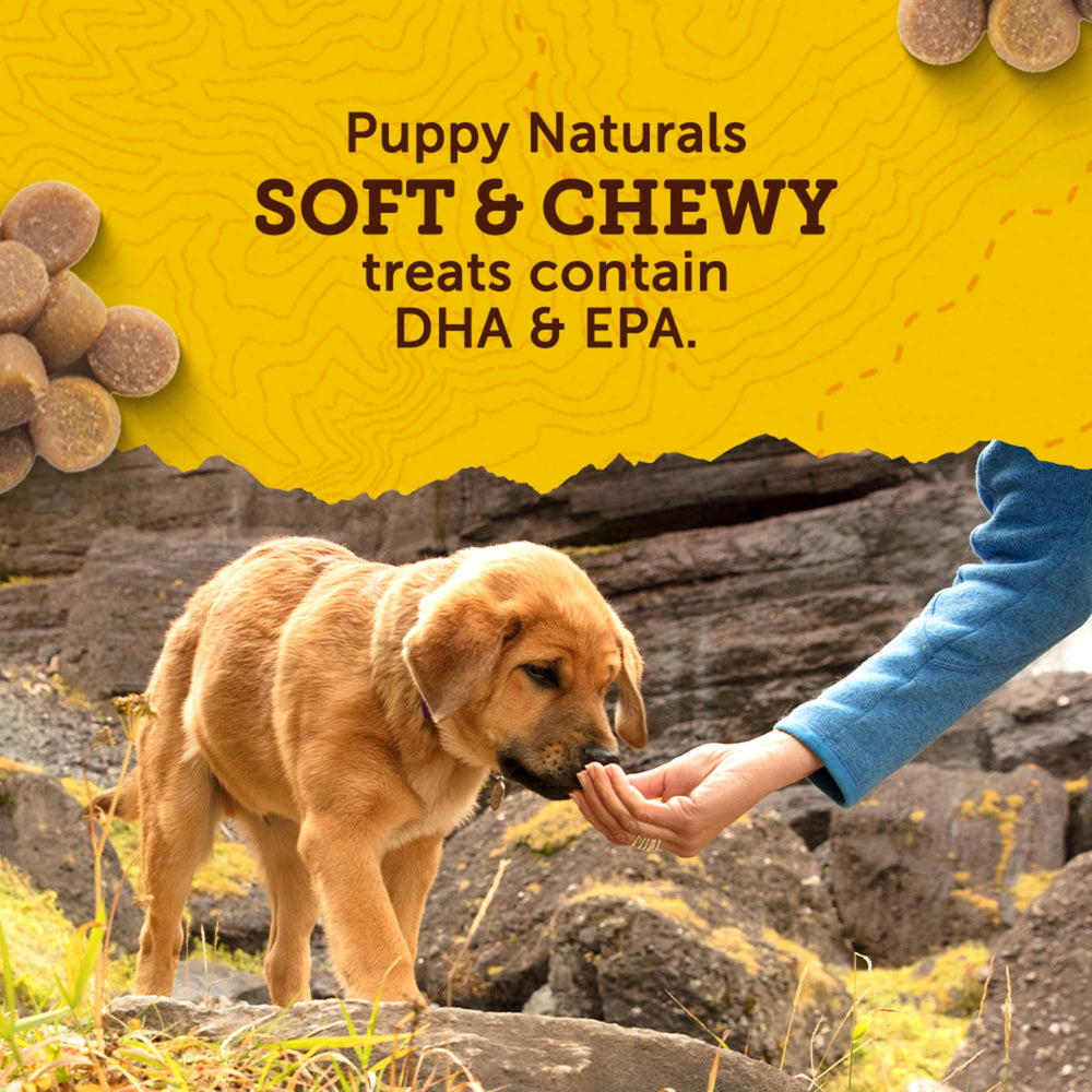 Zuke's Puppy Naturals con salmón y cerezas para sabor natural