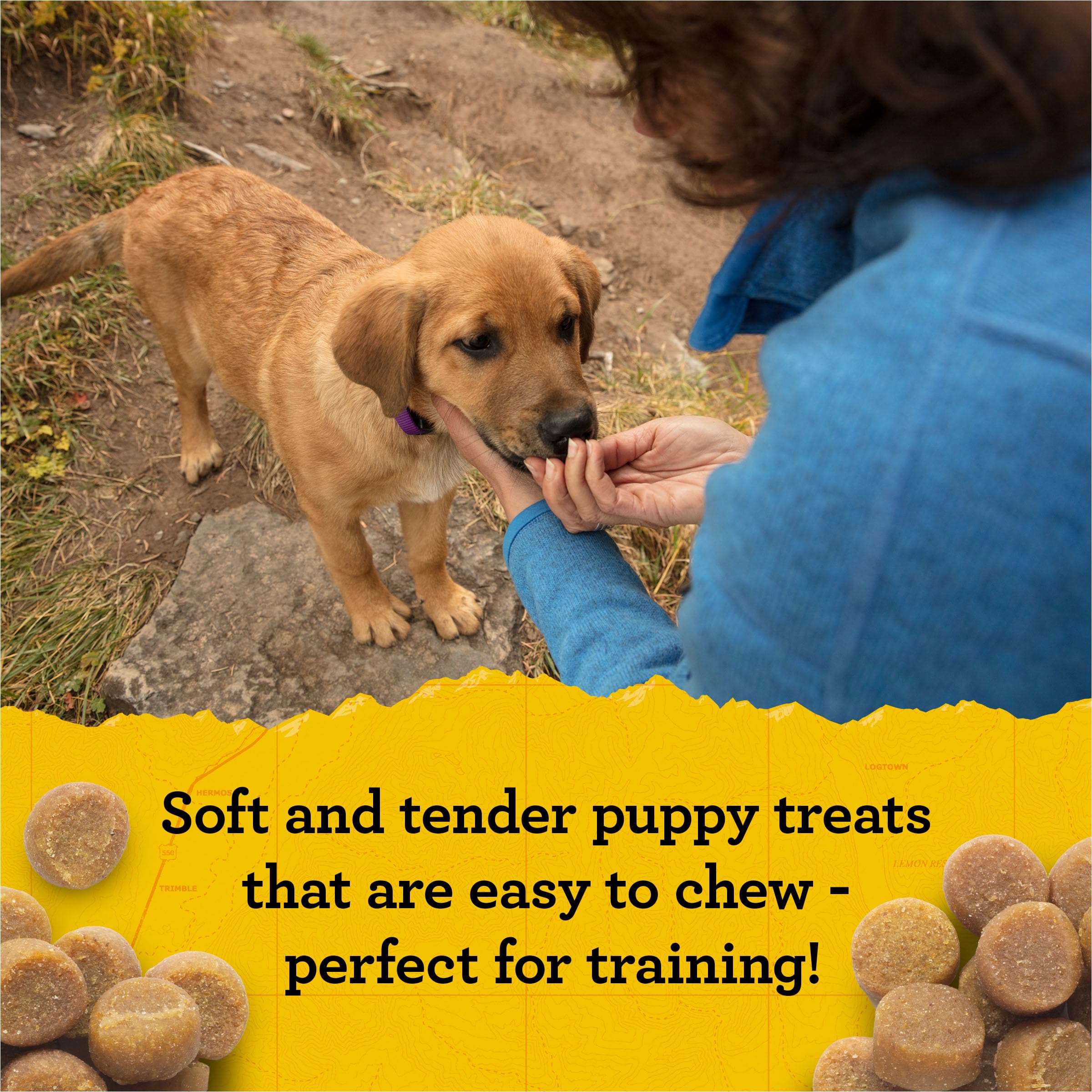Zuke's Puppy Naturals, salmón en trocitos, sin maíz ni trigo para cachorros