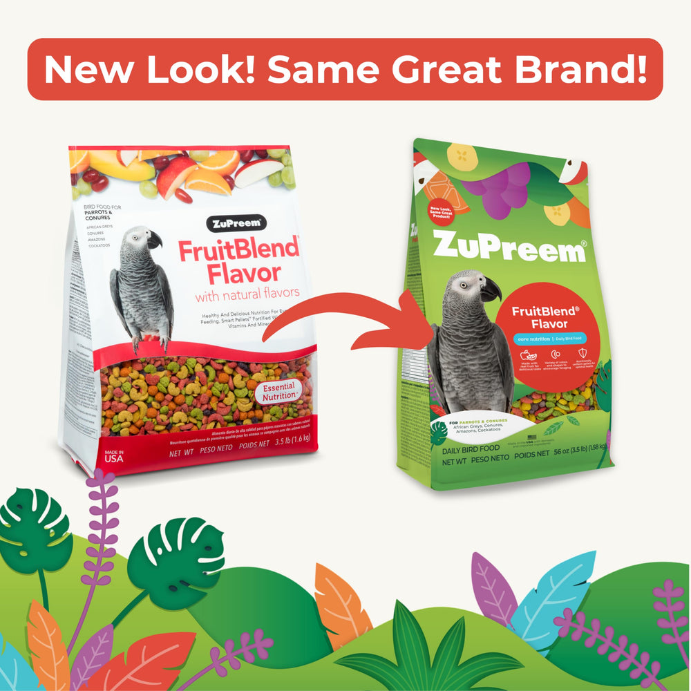ZuPreem FruitBlend: loro-comiendo-pellets, prueba de palatabilidad y dieta diaria