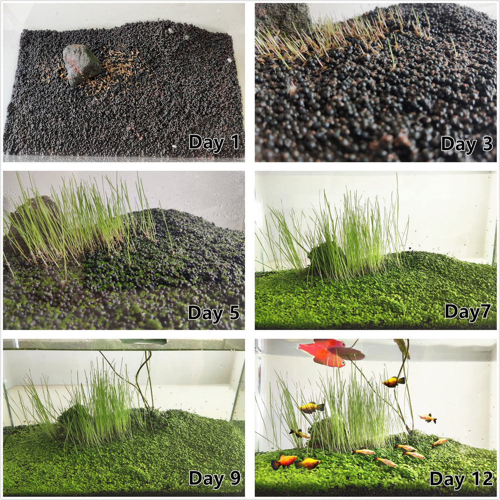 ZUQOVI conjunto de plantas acuáticas, paisaje subacuático dinámico