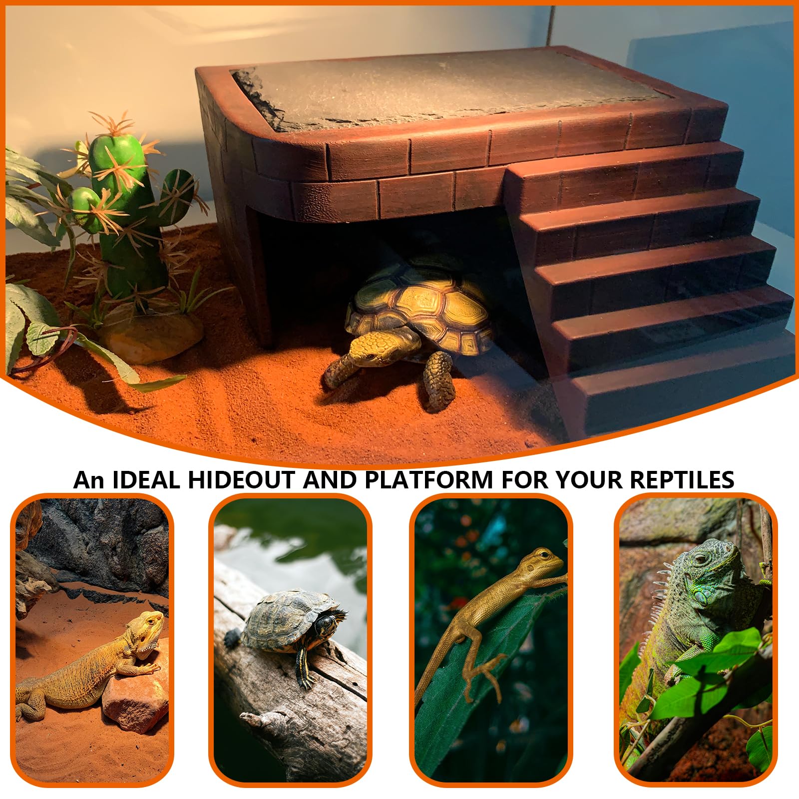 ZXUAQNOE estructura pesada mantiene estable la plataforma para reptiles.