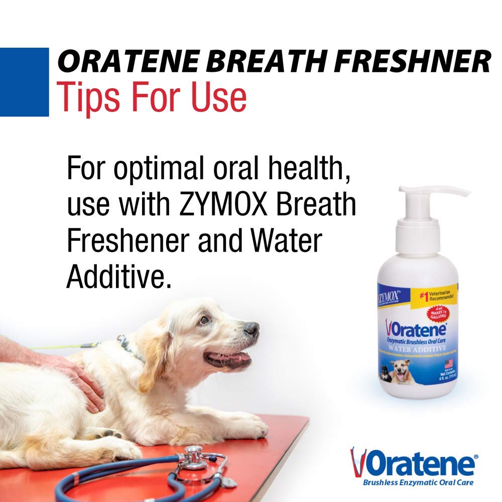 Zymox Oratene higiene oral para mascotas en casa