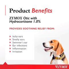 Aplicar gotas Zymox Otic en la oreja de una mascota para tratamiento.